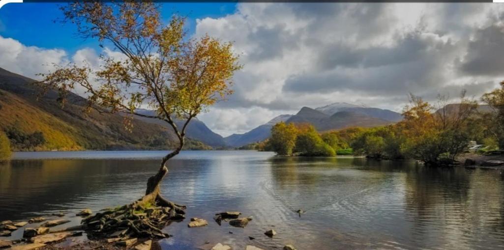 Pen Y Buarth Pod - Caravan Site Caernarfon Dış mekan fotoğraf